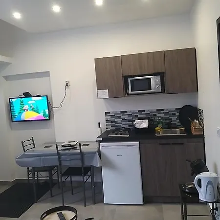Le Elegance Du Centre Apartment